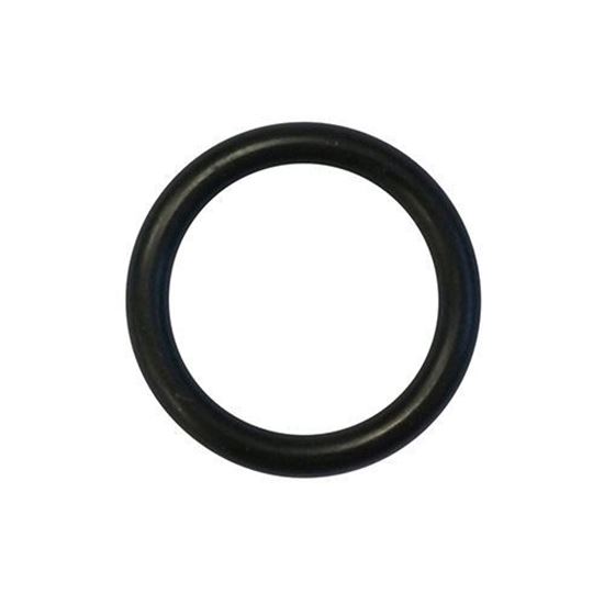 Picture of Oil Filler Cap O-Ring, E-Z-Go 4-cycle Gas 1991-Up