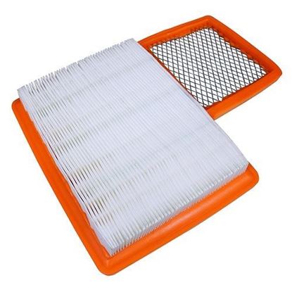 Picture of Air Filter, Yamaha G16-Drive 4-cycle Gas 96+