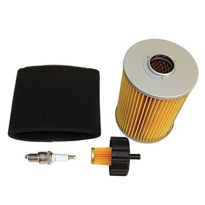 Picture of Tune Up Kit, Yamaha G2/G9/G11 4-cycle Gas