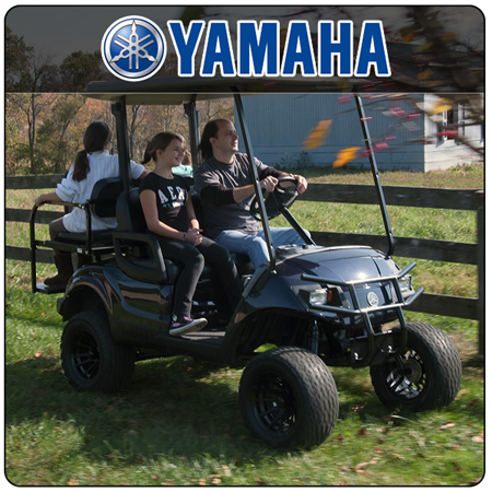 Picture for category Yamaha Carts